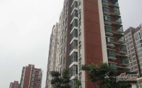 合生江湾国际公寓实景图图片