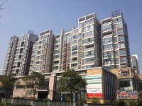 合生江湾国际公寓实景图图片