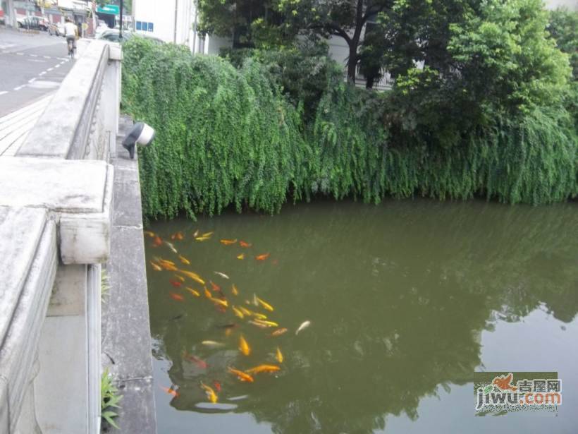 虹桥城市花园实景图图片