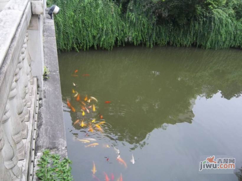 虹桥城市花园实景图图片