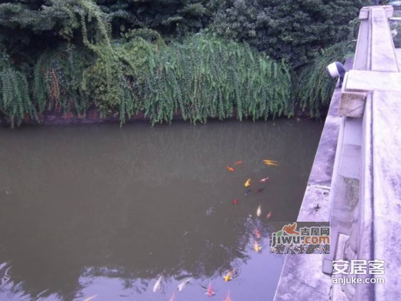 虹桥城市花园实景图图片