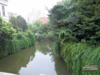 虹桥城市花园实景图图片