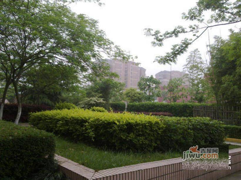 紫叶小区实景图图片