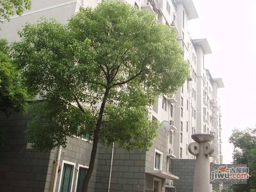 虹桥蒂梵尼实景图图片