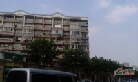 东方明珠大宁公寓实景图图片