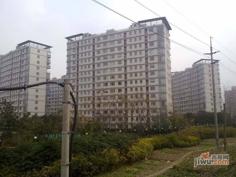 中房樱桃苑实景图图片