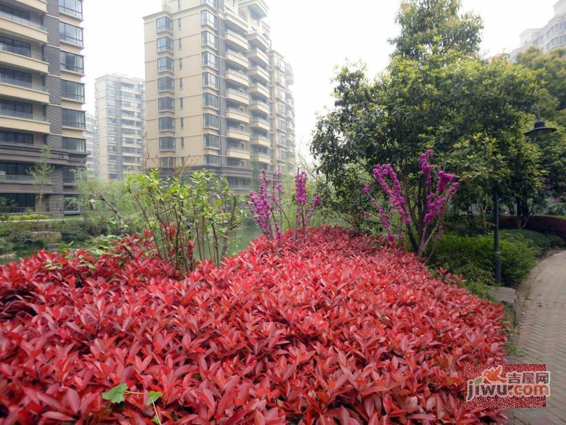 九城湖滨实景图图片