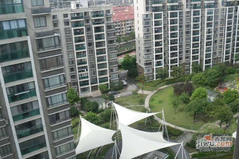春申玫瑰苑实景图图片
