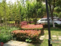 春申玫瑰苑实景图图片