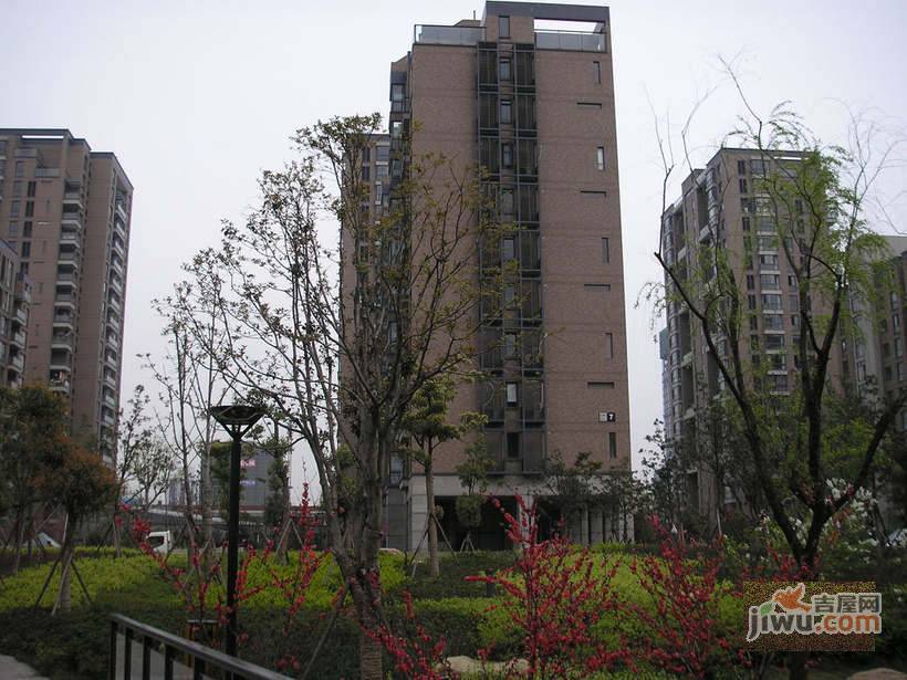 春申玫瑰苑实景图图片