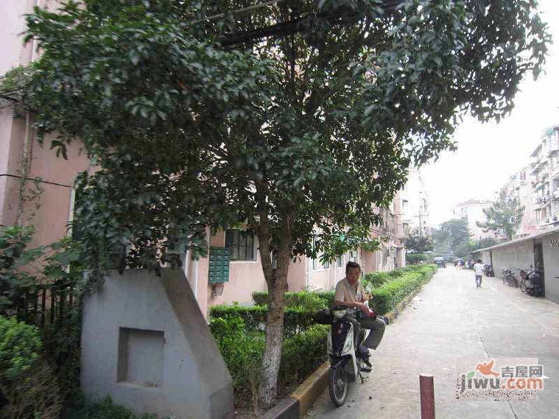 园南三村实景图图片