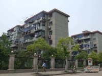 淞南五村实景图图片