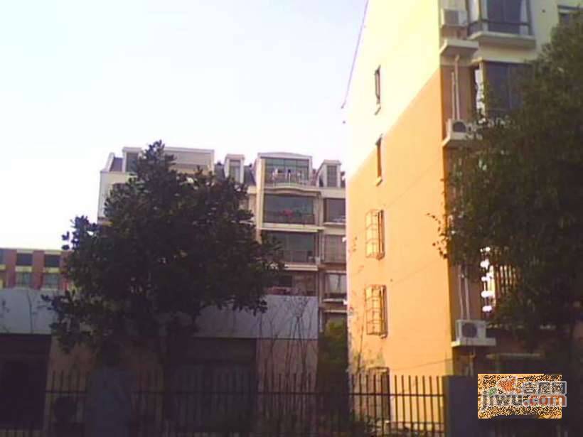 杨园新苑实景图图片