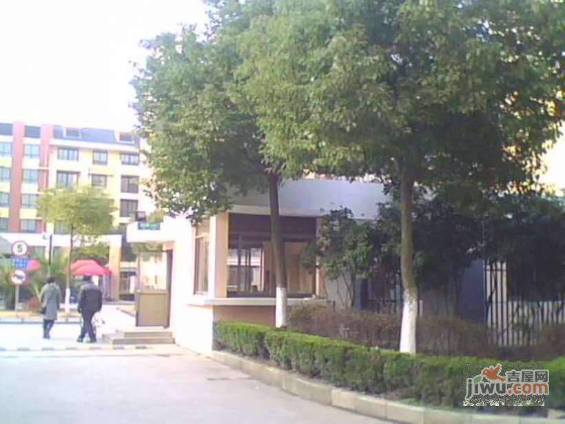 杨园新苑实景图图片