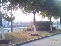 杨园新苑实景图图片