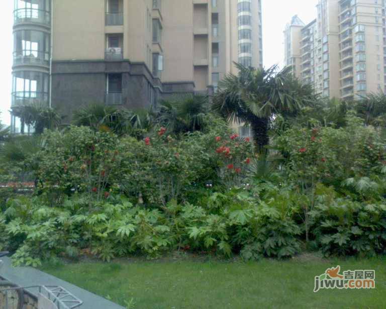 锦绣满堂花园北区实景图图片