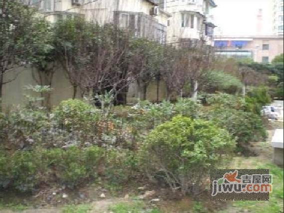 建华小区实景图图片