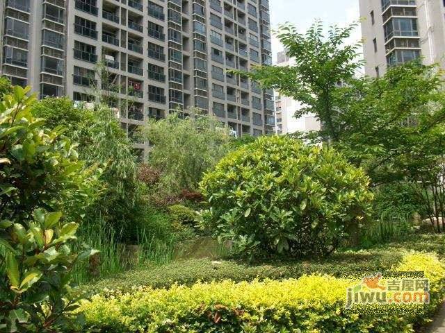 中邦晶座实景图图片