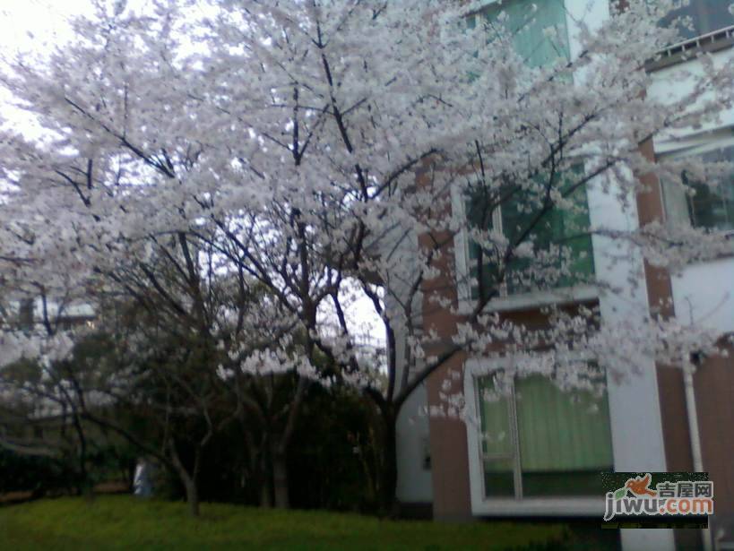 天安花园实景图图片