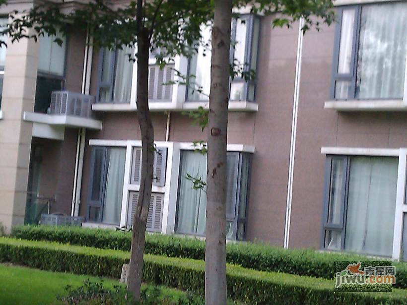 广洋新景苑实景图图片