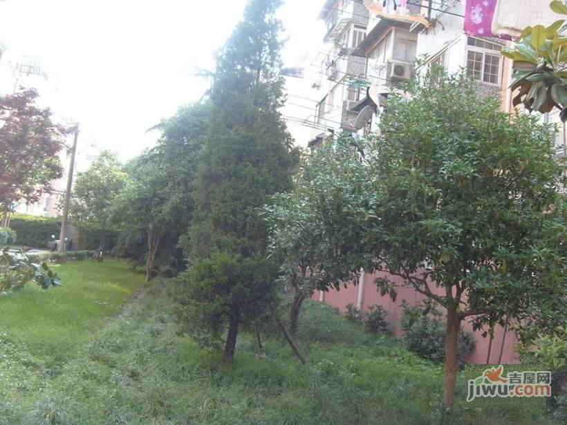 沪江新苑实景图图片