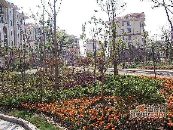 双柏小区实景图图片
