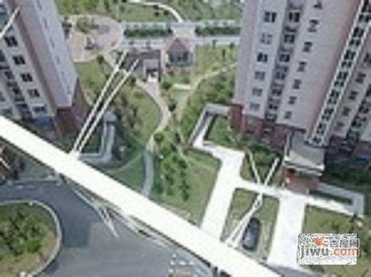 菊花苑实景图图片
