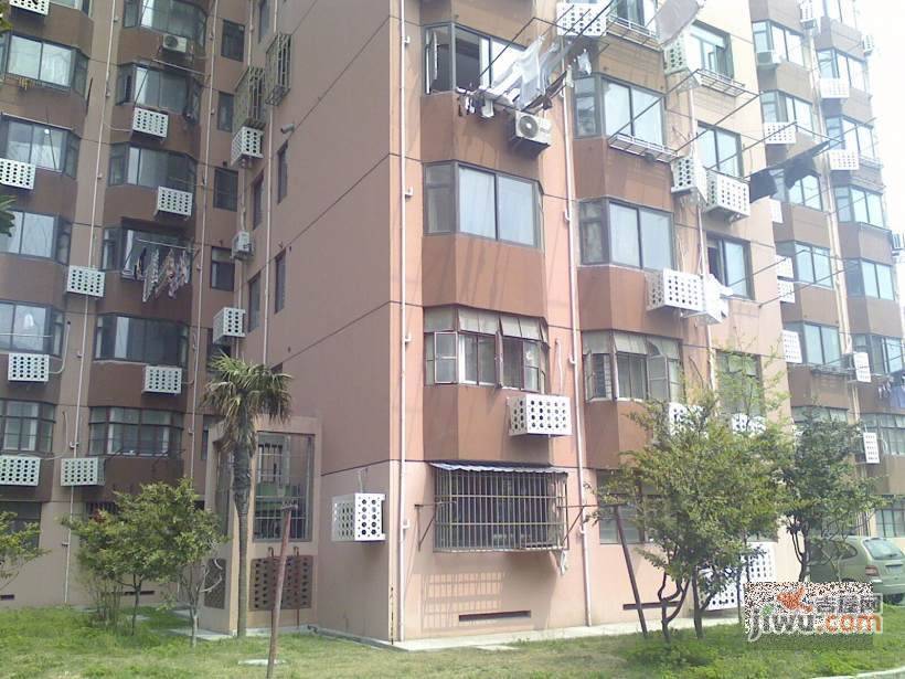 浦江大楼实景图图片