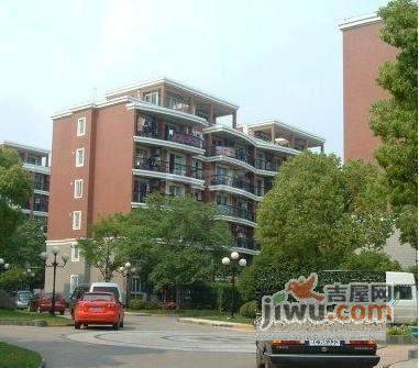 浦江大楼实景图图片