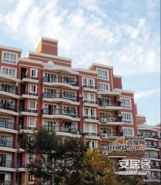 浦江花苑实景图图片