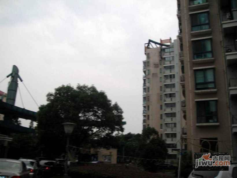中祥龙柏苑实景图图片