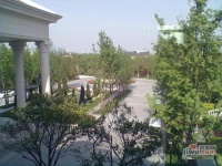 绿城玫瑰园实景图图片