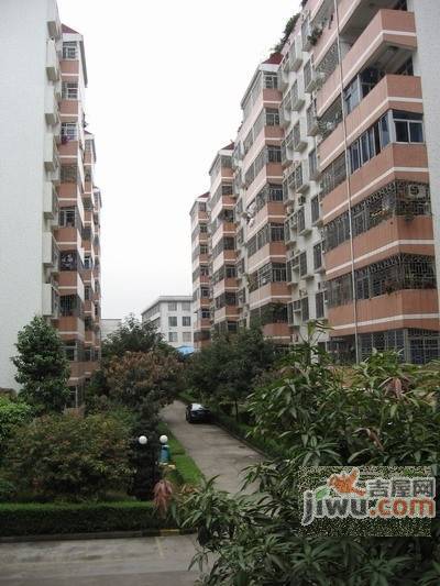 金丰小区实景图图片