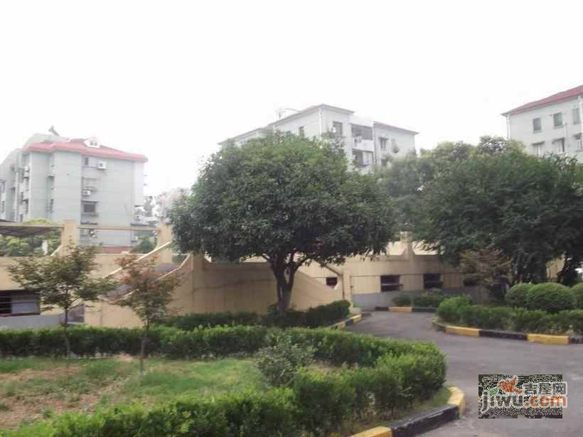 金丰小区实景图图片