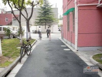 东兰路37弄小区实景图8