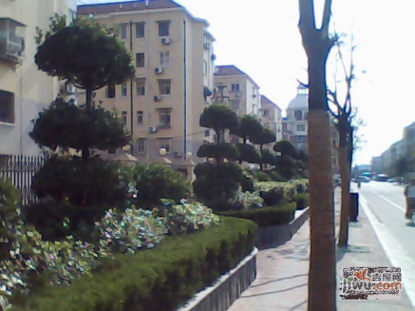 东风公寓实景图图片