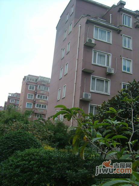 紫滕一村实景图图片