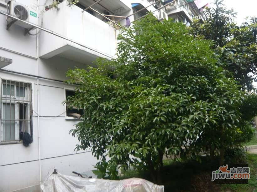 朱行四村实景图图片