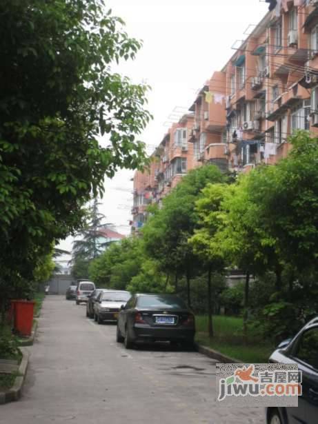 蔷薇新村实景图图片