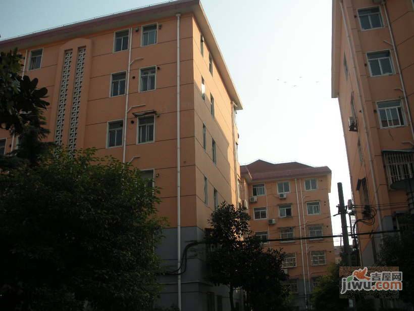 蔷薇新村实景图图片