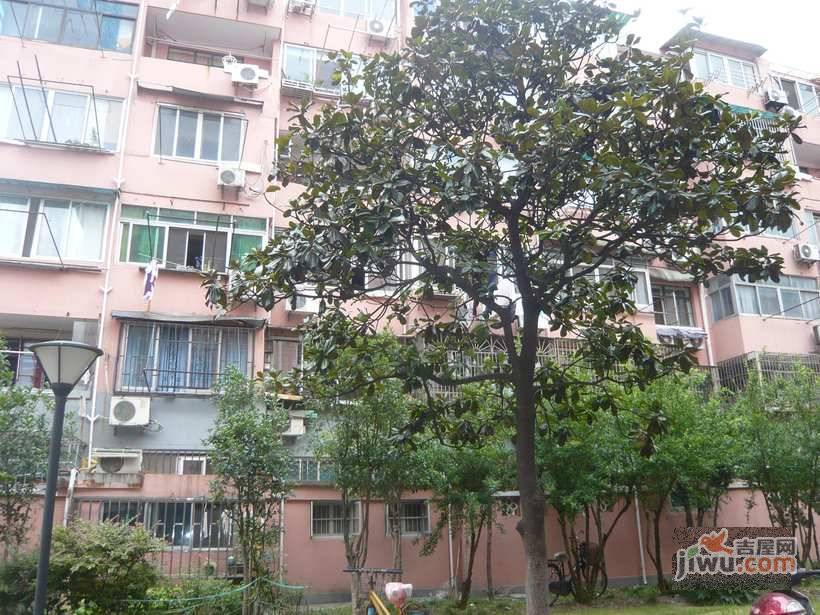 水清二村实景图图片