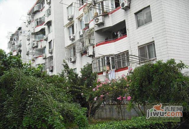 闵富花苑实景图图片