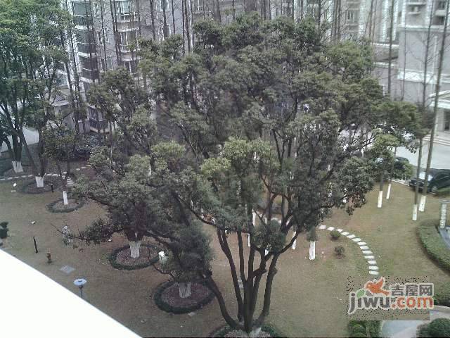 东苑世纪名门一期实景图图片