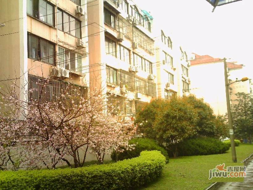 水清一村实景图图片