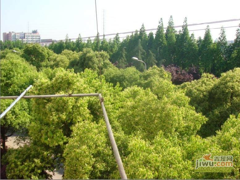 西环三村实景图图片