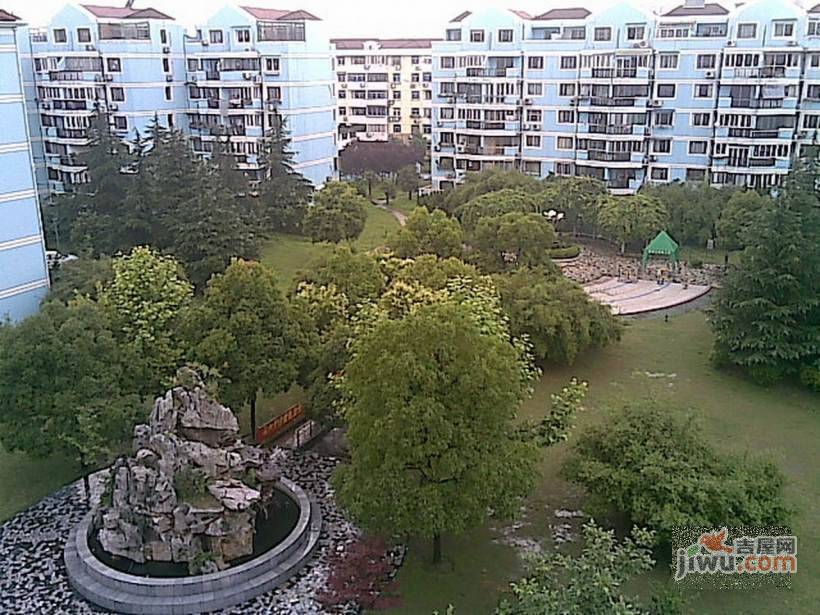 新金山花园实景图图片