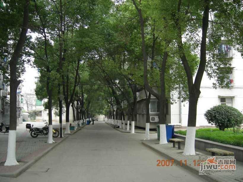 美丽家园实景图图片