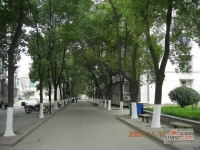 美丽家园效果图