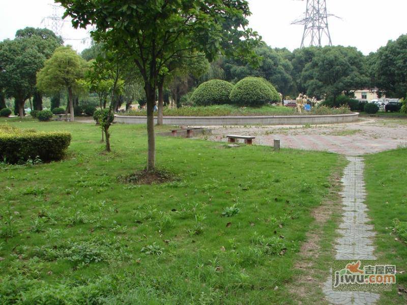美丽家园实景图图片