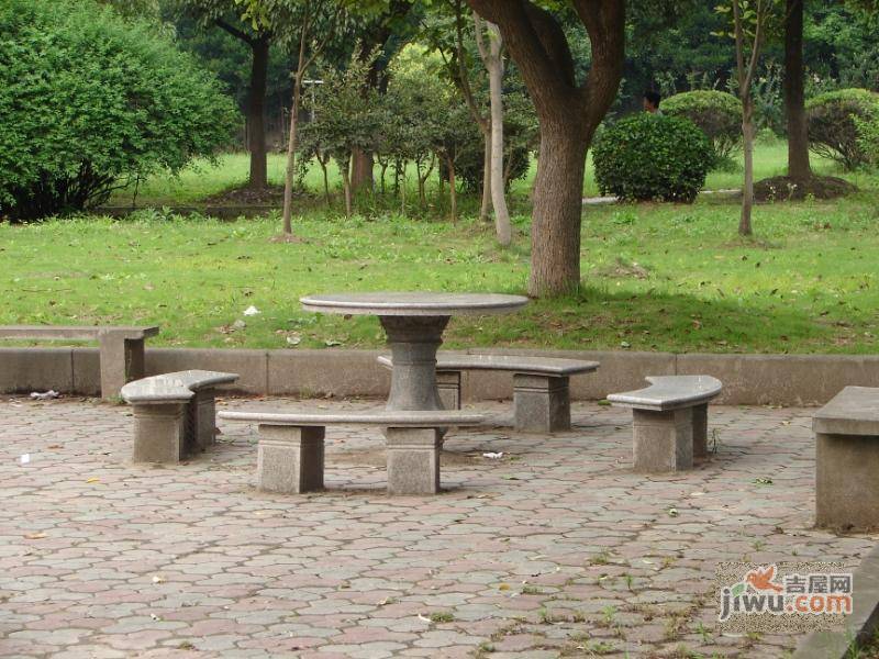 美丽家园实景图图片